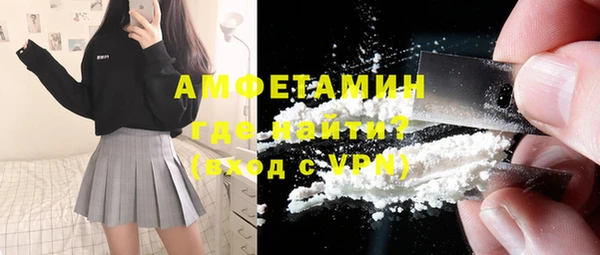 стаф Алзамай