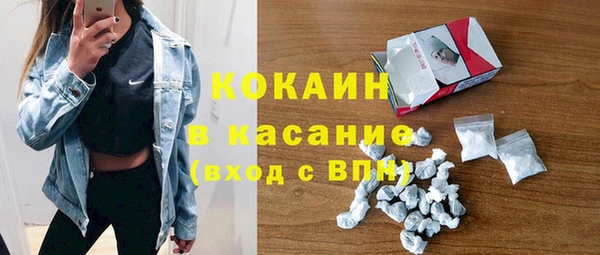 стаф Алзамай