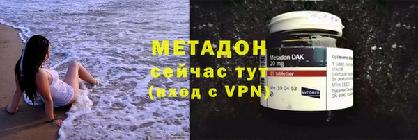 стаф Алзамай