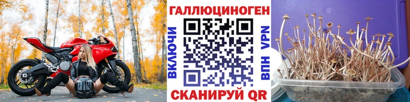 Псилоцибиновые грибы GOLDEN TEACHER  Аткарск 